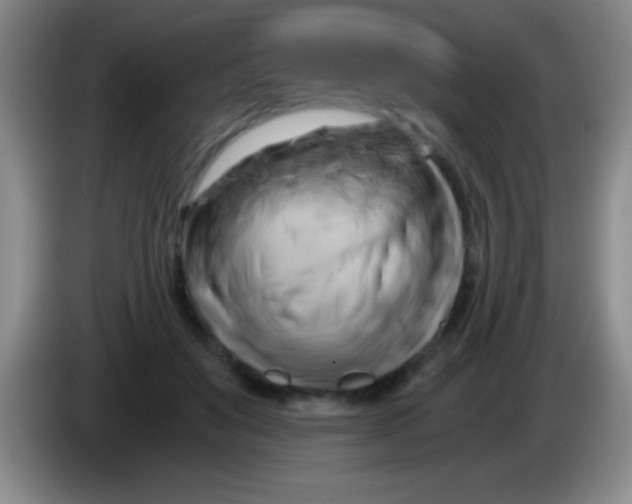 X0000084010503200703091930