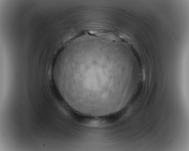 X0000084010504200703091930