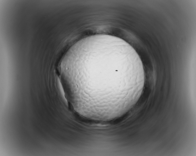 X0000084010506200703091930