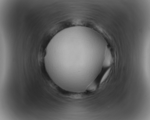 X0000084010513200703091930