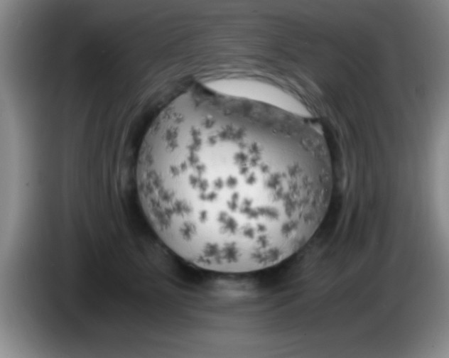 X0000084010515200703091930