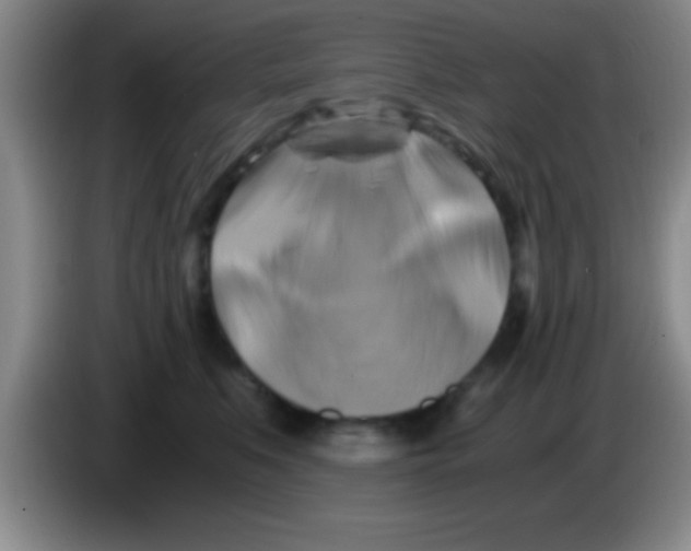 X0000084010519200703091930