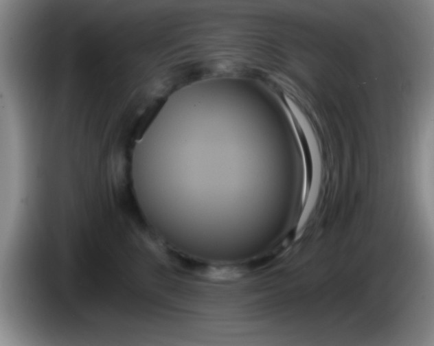 X0000084010520200703091930