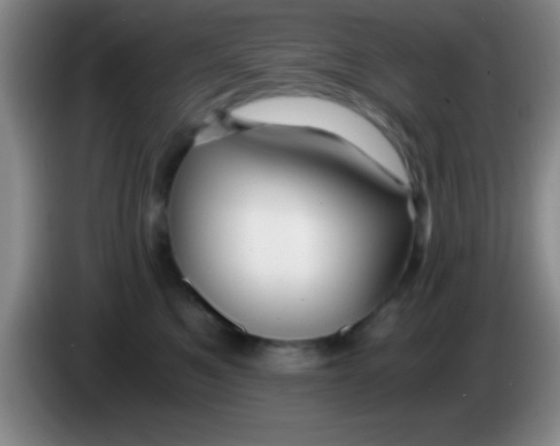 X0000084010521200703091930