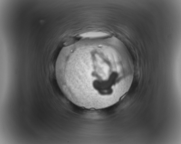 X0000084010523200703091930