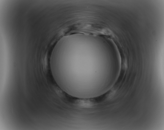 X0000084010524200703091929