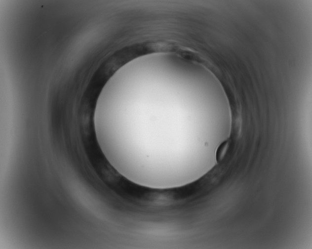 X0000084010525200703091929