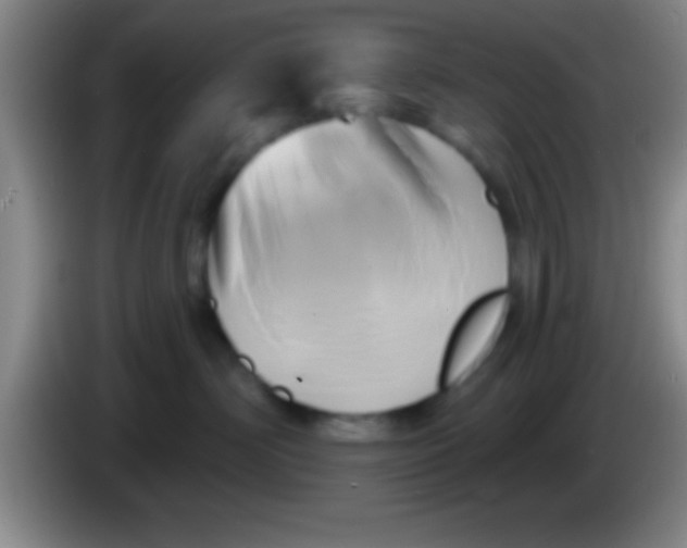 X0000084010526200703091929