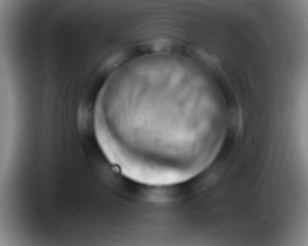 X0000084010527200703091929