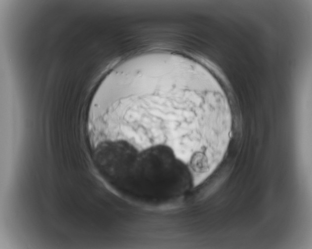 X0000084010529200703091929