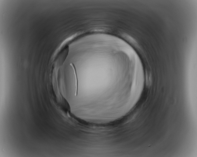 X0000084010531200703091929