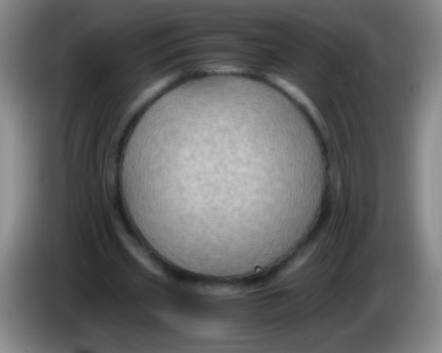 X0000084010533200703091929