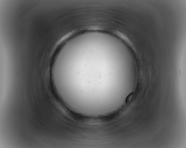 X0000084010535200703091929