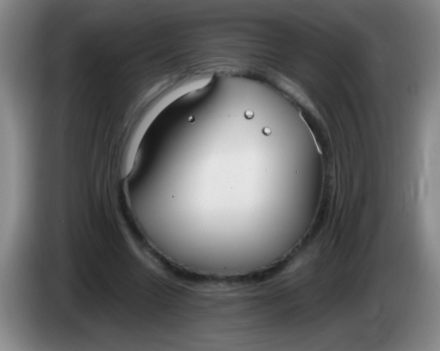 X0000084010538200703091929