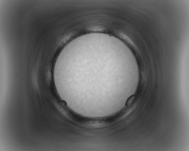 X0000084010541200703091929