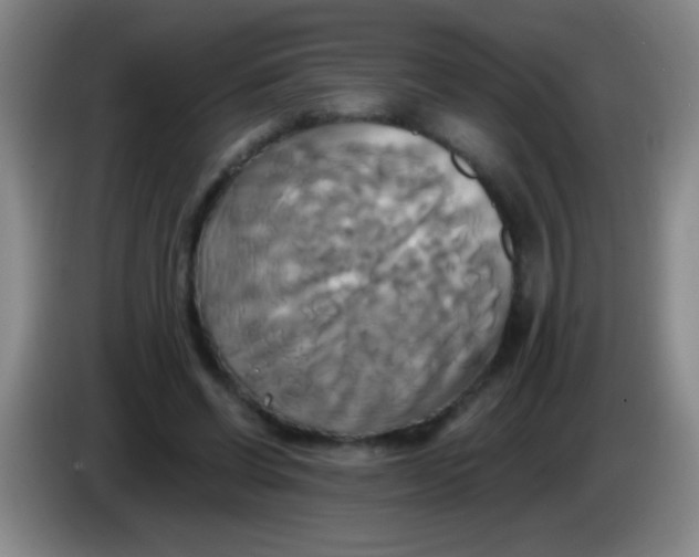 X0000084010542200703091929