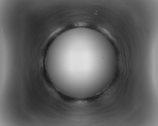 X0000084010543200703091929