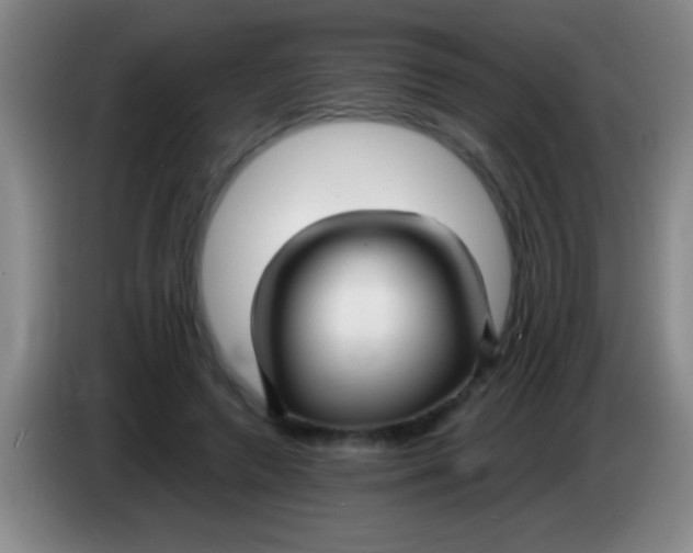 X0000084010546200703091929