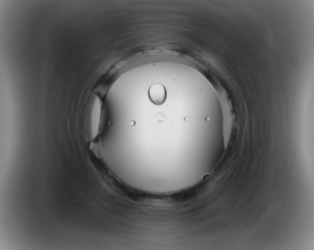 X0000084010548200703091929