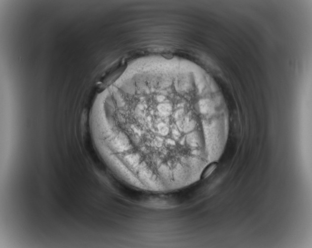 X0000084010550200703091929