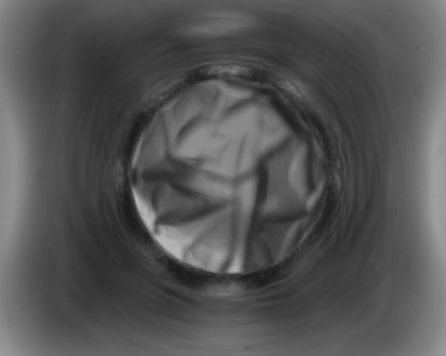 X0000084010551200703091929