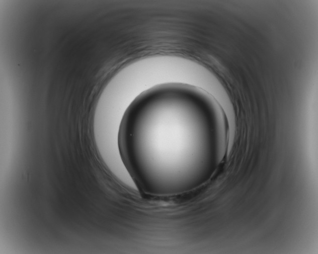 X0000084010552200703091929