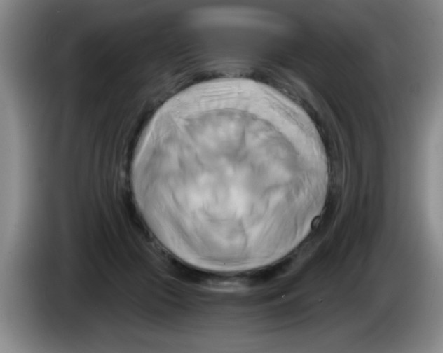 X0000084010553200703091929