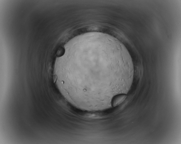 X0000084010557200703091929