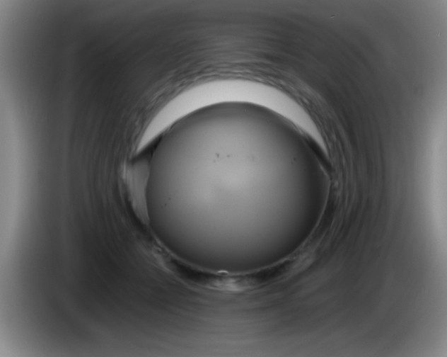 X0000084010558200703091929