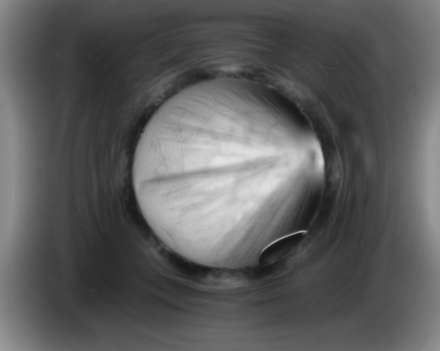 X0000084010559200703091929