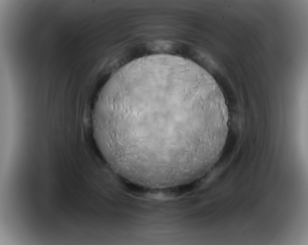 X0000084010561200703091929