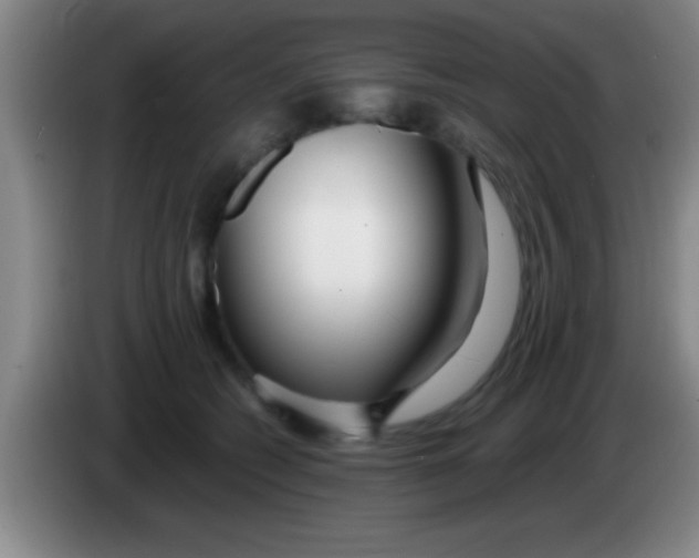 X0000084010562200703091929