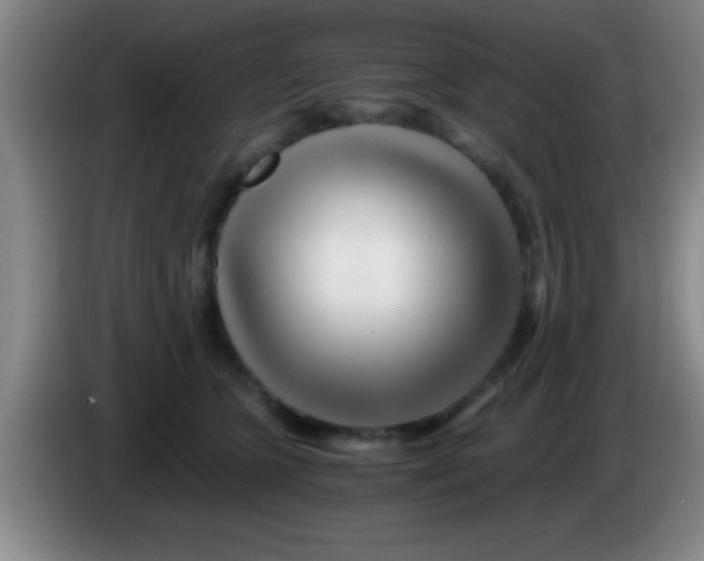 X0000084010563200703091929