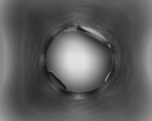 X0000084010564200703091929