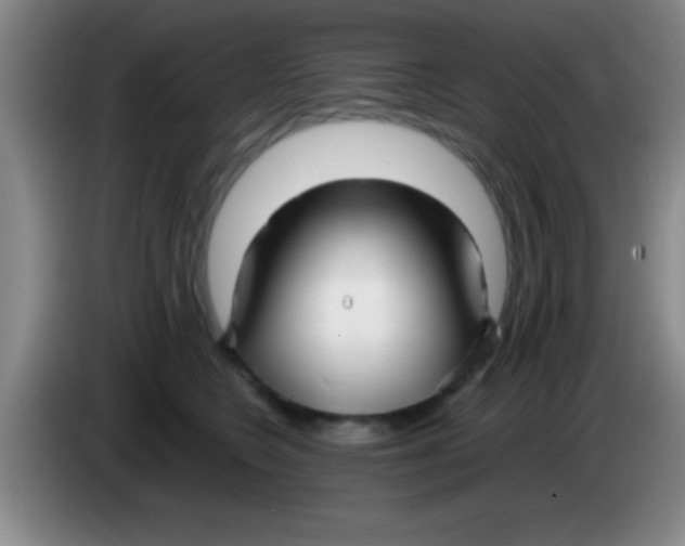 X0000084010566200703091929