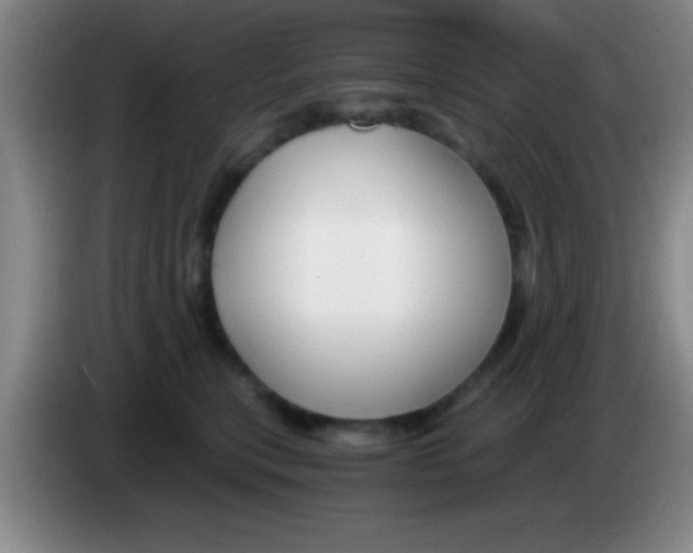 X0000084010567200703091929