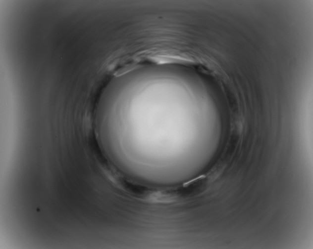 X0000084010568200703091929