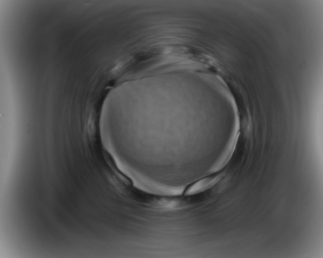 X0000084010570200703091929