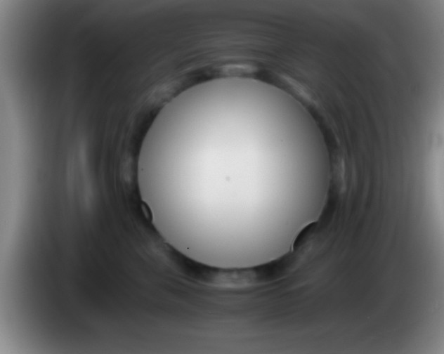 X0000084010571200703091929