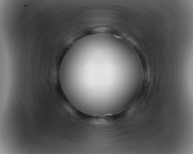 X0000084010572200703091929