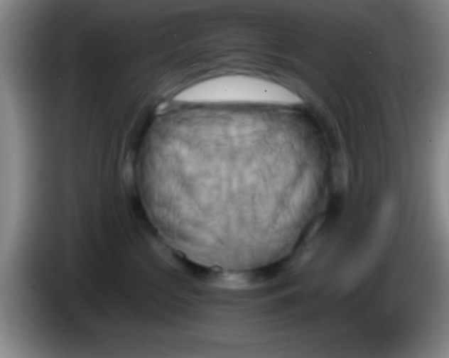 X0000084010573200703091929