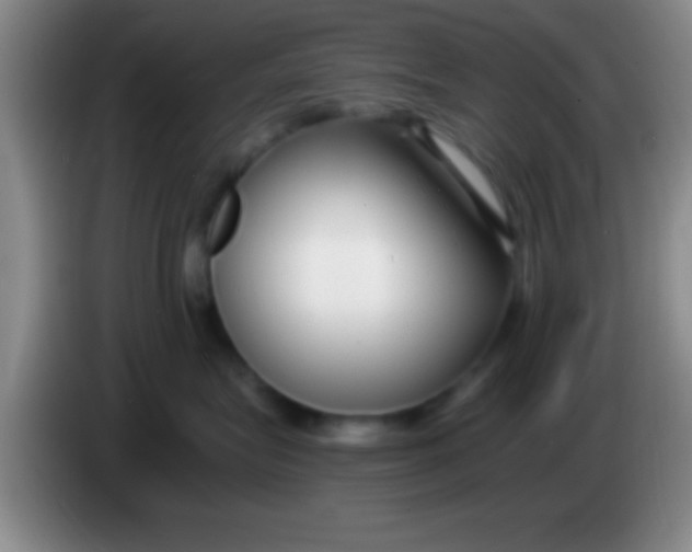 X0000084010575200703091929