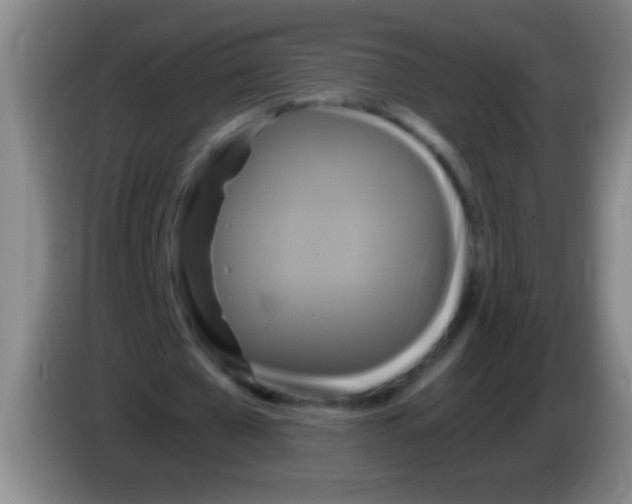 X0000084010577200703091929