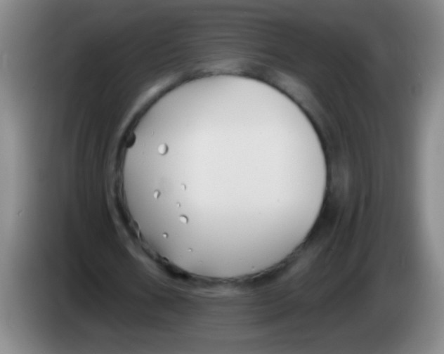 X0000084010578200703091929