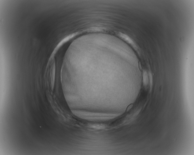 X0000084010579200703091929