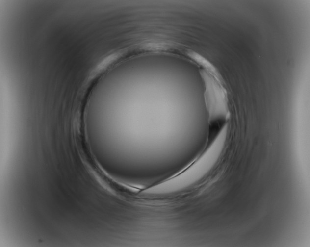 X0000084010581200703091929