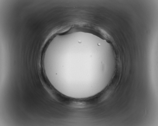 X0000084010582200703091929