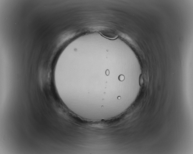 X0000084010583200703091929