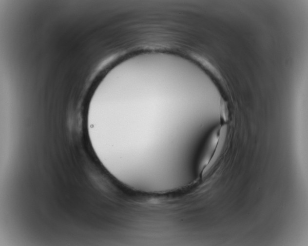 X0000084010584200703091929