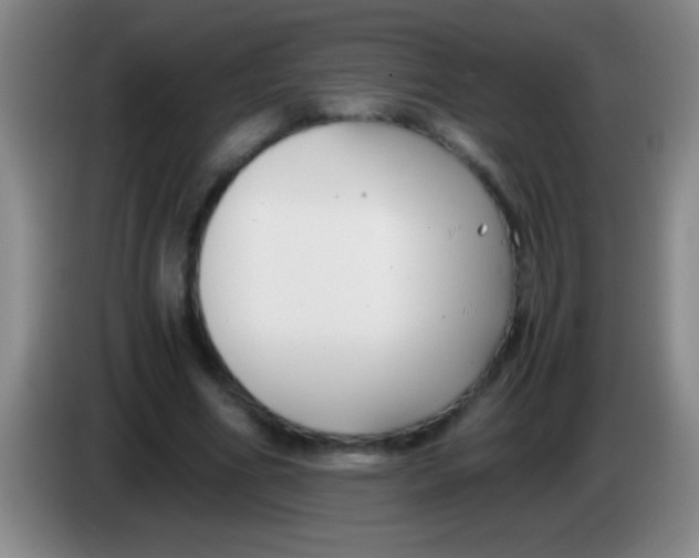 X0000084010586200703091929